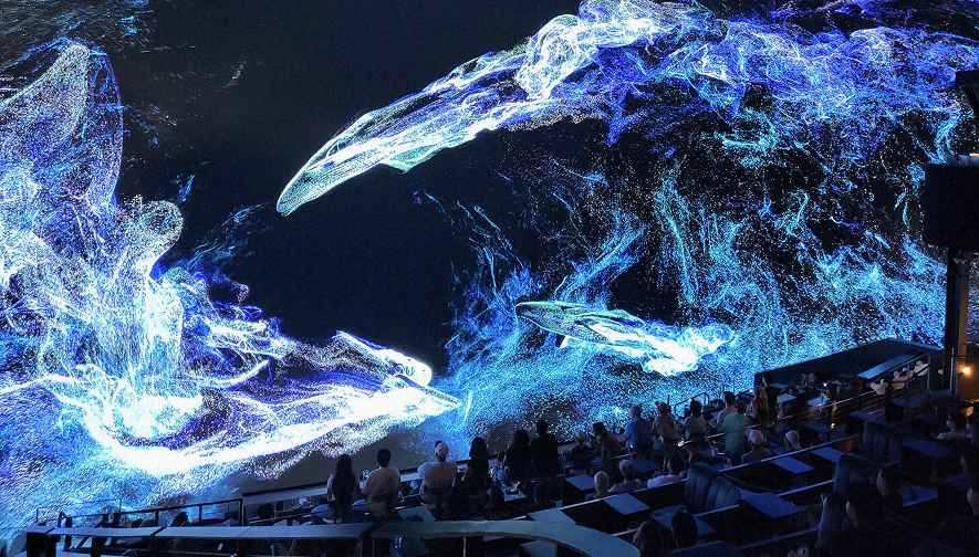 Elevate your next event